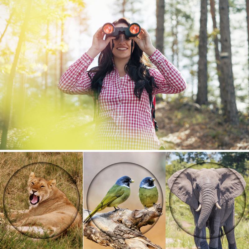 Binóculos Profissional HD 80x80 | Longo alcance & Visão Noturna FLT1560